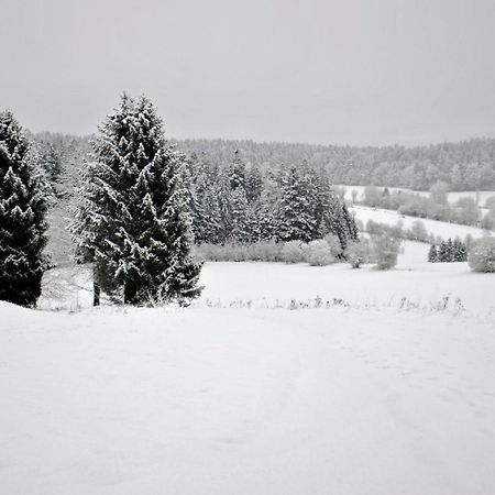 Fewo Radi An Der Buchberger Leite Apartment Hohenau Екстериор снимка