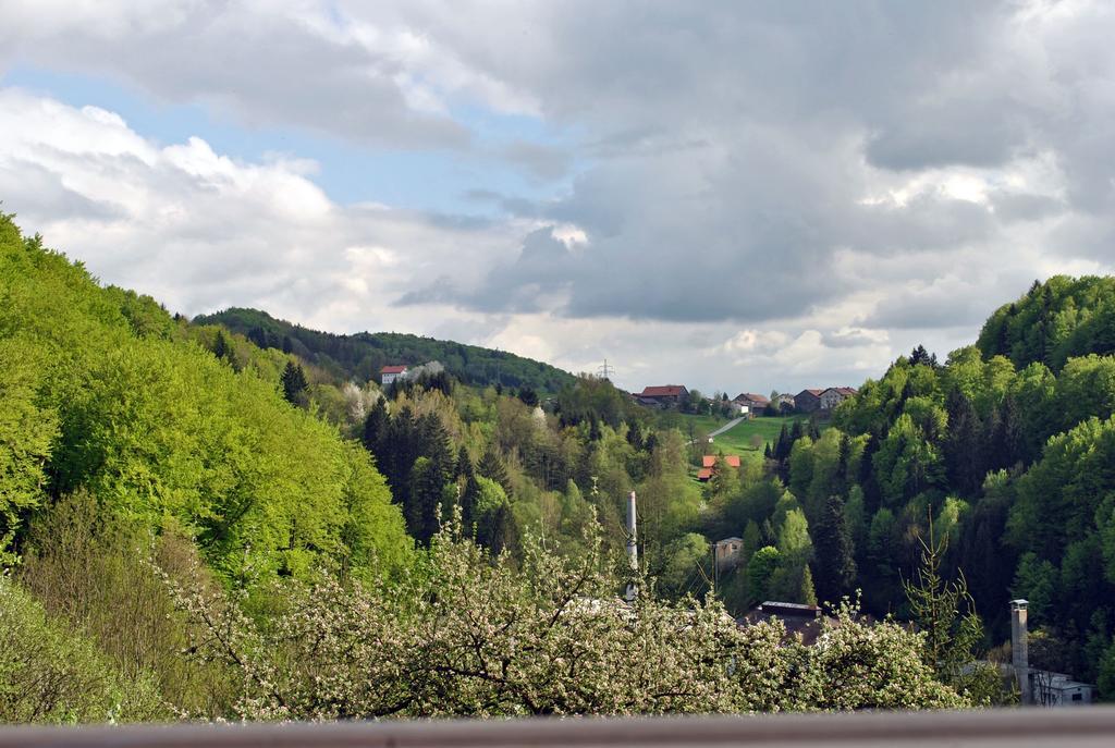 Fewo Radi An Der Buchberger Leite Apartment Hohenau Екстериор снимка